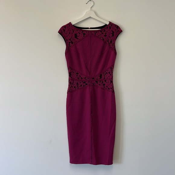Venus Evening Dress Raspberry - Size 4 - Picture 3 of 6